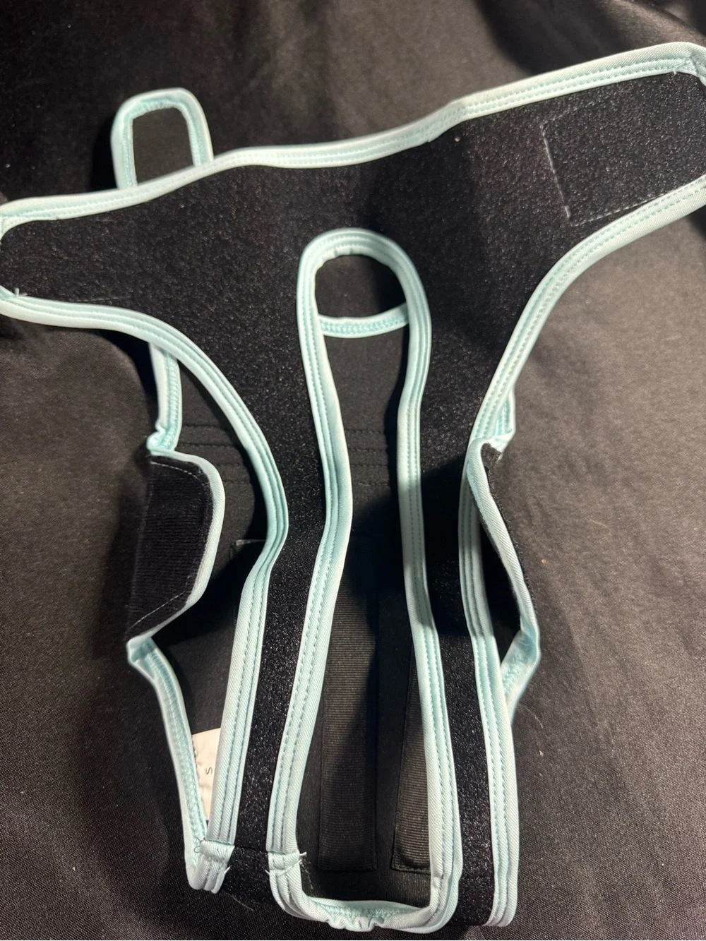 Dog Recovery Suit Back Brace- Black with Light Blue Trim Sz Small